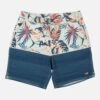 Salty Crew Tandem Aqua Elastic Boardshort