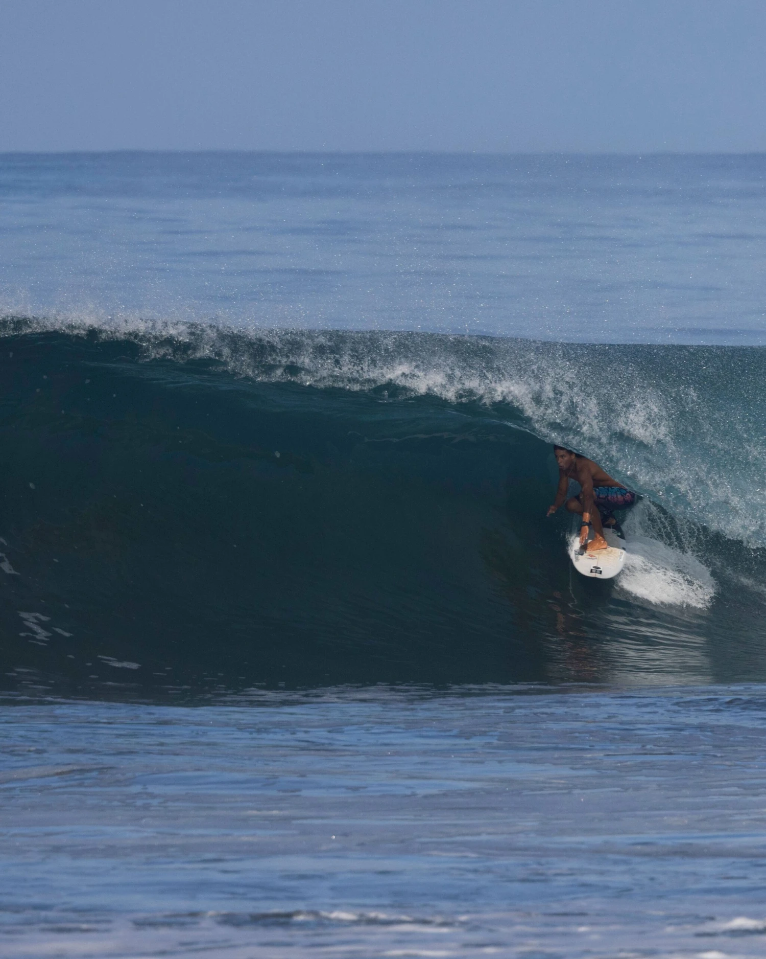 Salty Crew Paradiso Black Boardshort 4 Salty Crew Paradiso Black Boardshort - Image 2